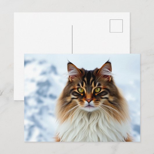 Maine Coon kat in een besneeuwde wildernis portret Briefkaart (Voorkant / Achterkant)