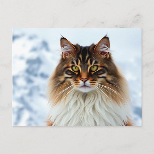 Maine Coon kat in een besneeuwde wildernis portret Briefkaart (Voorkant)