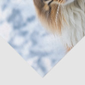 Maine Coon kat in een besneeuwde wildernis portret Tissuepapier (Detail)