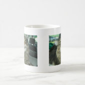 Maine Coon kat Koffiemok (Center)