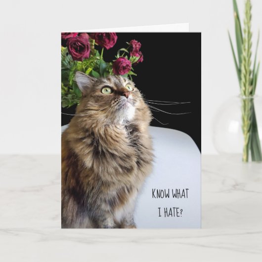 Maine Coon kat late verjaardag Kaart (Voorkant)