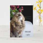 Maine Coon kat late verjaardag Kaart (Gele Bloem)