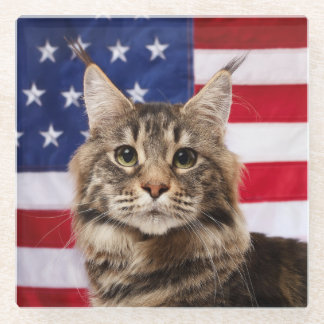Maine Coon Kat Met Amerikaanse Vlag Glazen Onderzetter