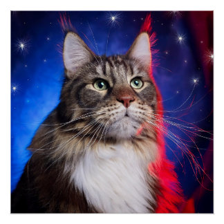 Maine Coon kat met rood wit blauw aura en sterren Perfect Poster