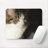 Maine Coon Kat Mousepad Muismat (Met muis)