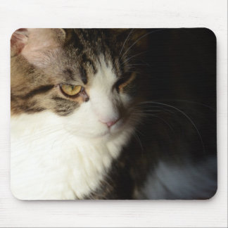Maine Coon Kat Mousepad Muismat