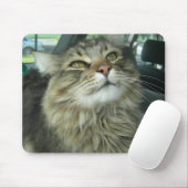 Maine Coon kat Muismat (Met muis)