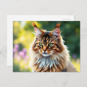 Maine Coon kat pluizig in de Natuur Briefkaart (Voorkant / Achterkant)