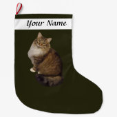 Maine Coon Kat Portret Grote Kerstsok (Voorkant)
