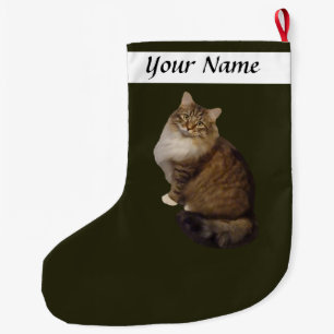 Maine Coon Kat Portret Grote Kerstsok