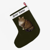 Maine Coon Kat Portret Grote Kerstsok (Achterkant (Hangend))