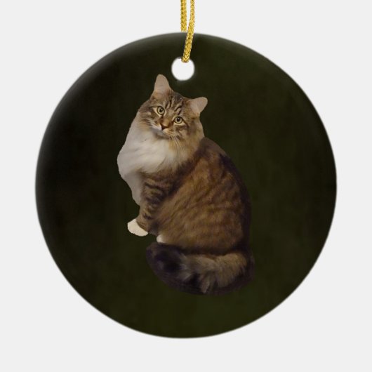 Maine Coon Kat Portret Keramisch Ornament (Voorkant)