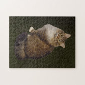 Maine Coon Kat Portret Legpuzzel (Horizontaal)