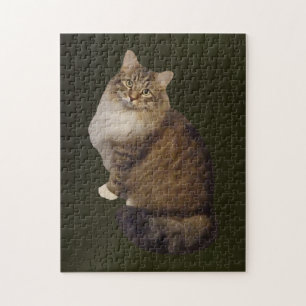 Maine Coon Kat Portret Legpuzzel