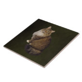 Maine Coon Kat Portret Tegeltje (Zijkant)