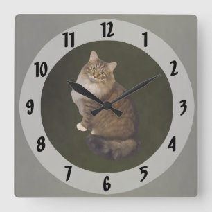 Maine Coon Kat Portret Vierkante Klok