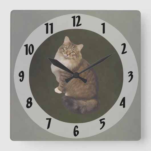 Maine Coon Kat Portret Vierkante Klok (Voorkant)