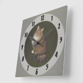 Maine Coon Kat Portret Vierkante Klok (Hoek)