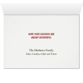 Maine Coon Kat Rieten Mand Kerstboom (Binenzijde Horizontaal (Onderkant))