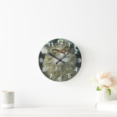 Maine Coon kat Ronde Klok (Huis)