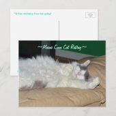 Maine Coon kat slapen Briefkaart (Voorkant / Achterkant)