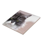 Maine Coon Kat Tegeltje (Zijkant)