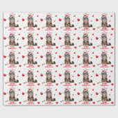 Maine Coon Kat Verpakt in Kerstverlichting Cadeaupapier (Vlak)