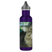 Maine Coon kat Waterfles (Links)