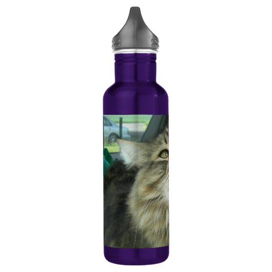 Maine Coon kat Waterfles (Links)