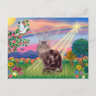 Maine Coon Kat - Wolkenengel Briefkaart