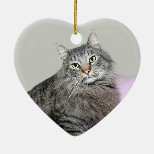 Maine Coon kattegezicht Keramisch Ornament (Achterkant)
