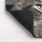Maine Coon kattegezicht Muismat (Hoek)