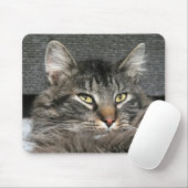 Maine Coon kattegezicht Muismat (Met muis)