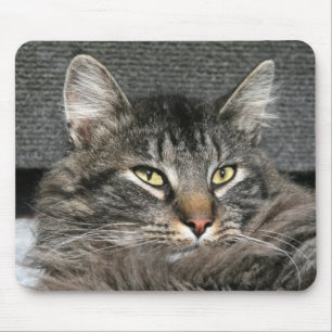 Maine Coon kattegezicht Muismat