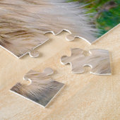 Maine Coon katten. Legpuzzel (Zijkant)