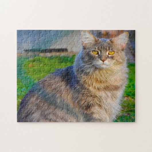 Maine Coon katten. Legpuzzel (Horizontaal)