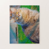 Maine Coon katten. Legpuzzel (Verticaal)