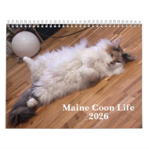 Maine Coon Katten | Main Coon Leven