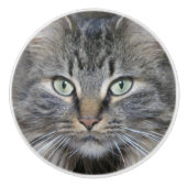 Maine Coon Katten Ogen Keramische Knop (Voorkant)