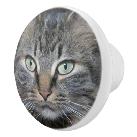 Maine Coon Katten Ogen Keramische Knop (Rechts)