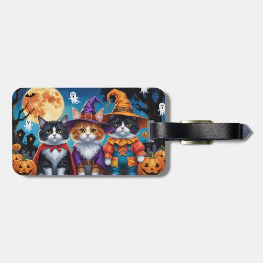 Maine Coon Katten Pompoen Halloween Grappig Bagagelabel (Achterkant horizontaal)