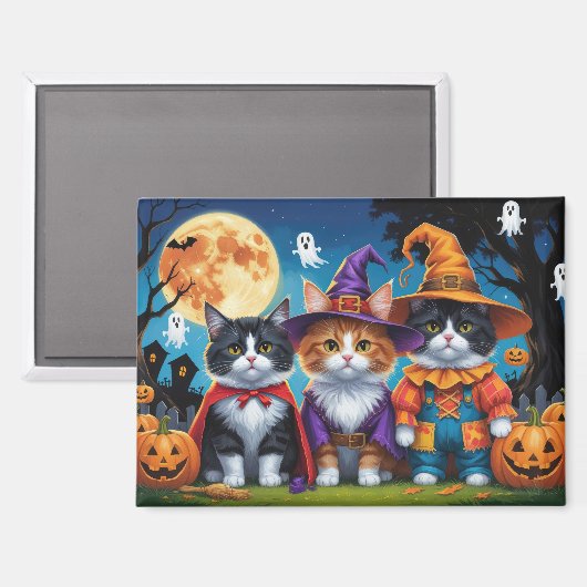 Maine Coon Katten Pompoen Halloween Grappig Magneet (Voorkant / Achterkant)