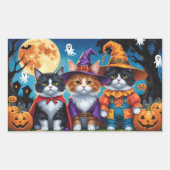 Maine Coon Katten Pompoen Halloween Grappig Rechthoekige Sticker (Voorkant)