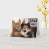 MAINE COON KATTEN ZEGGEN **60?** JIJ? BIRTHDAY KAART (Gele Bloem)