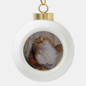 Maine Coon kattenbal Ornament (Voorkant)