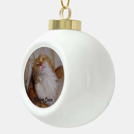 Maine Coon kattenbal Ornament (Rechts)