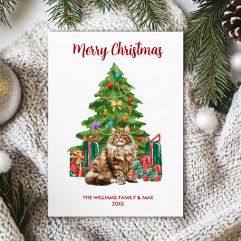 Maine Coon Kattenfamilie Kerstmis Feestdagenkaart