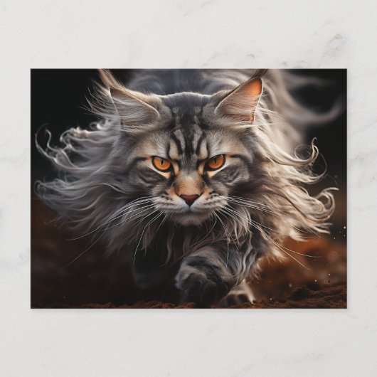Maine Coon Kattenjacht Briefkaart (Voorkant)