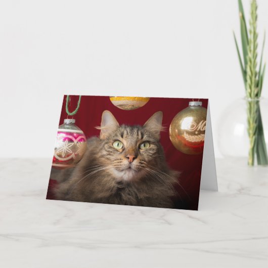 Maine Coon Kerstkat Feestdagen Kaart (Voorkant)