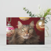 Maine Coon Kerstkat Feestdagenkaart (Staand voorkant)